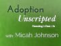 adoption-disruptionan-overview
